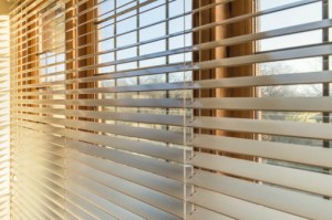 Children Are Still Getting Caught and Strangled in Window Blinds—What Can Be Done?
