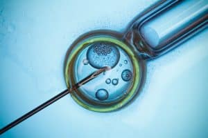 Can Couples Sue Fertility Clinics for Reproductive Negligence?