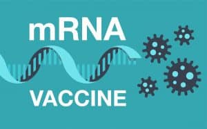 mRNA Vaccines: Fact versus Fiction